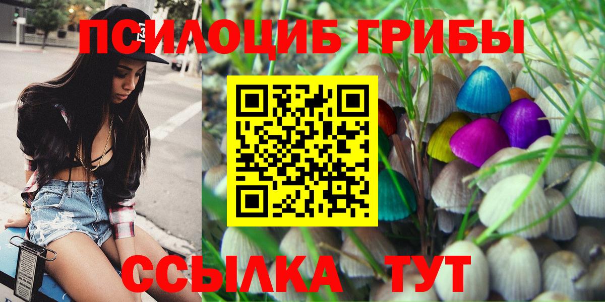 Богородск  Псилоцибиновые грибы мухоморы  Вход с VPN 