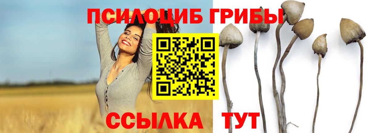 Галлюциногенные грибы Magic Shrooms Богородск